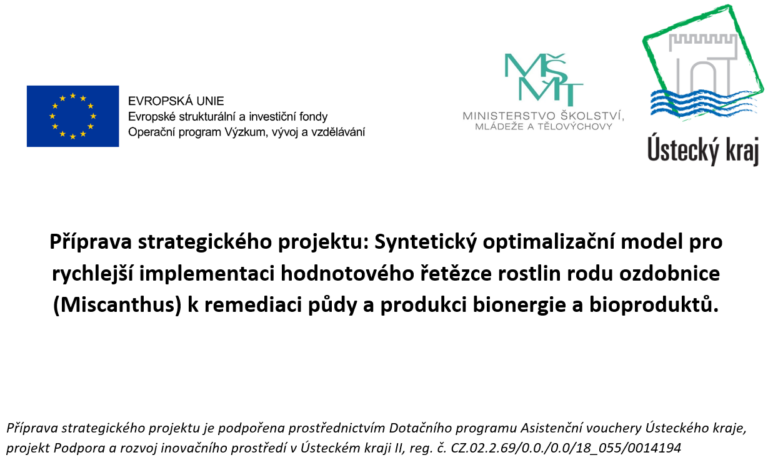 Příprava strategického projektu: Syntetický optimalizační model pro rychlejší implementaci hodnotového řetězce rostlin rodu ozdobnice (Miscanthus) k remediaci půdy a produkci bionergie a bioproduktů